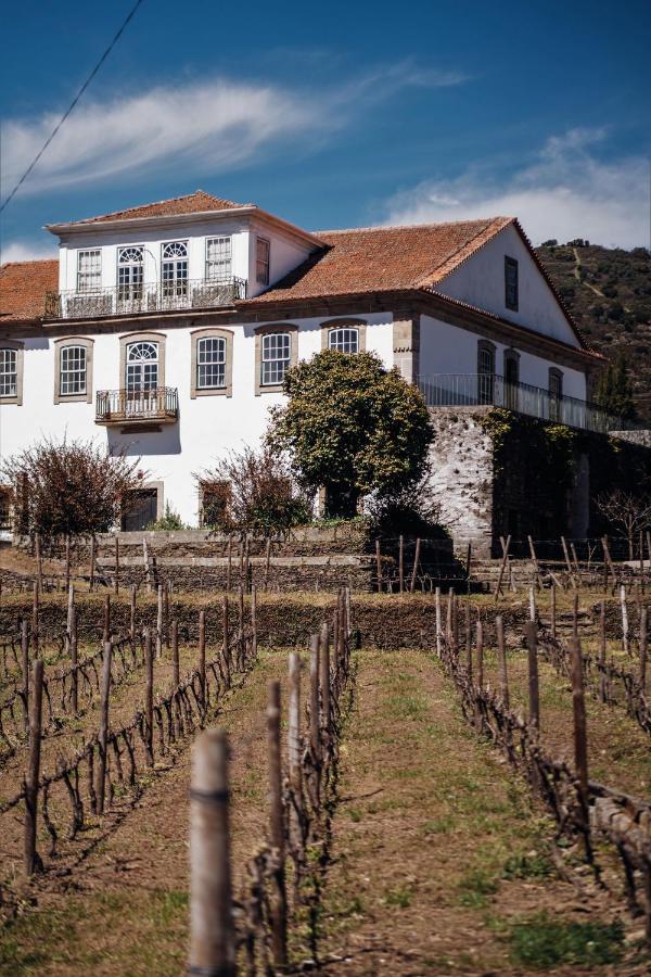 Casa Do Santo - Wine & Tourism Villa Provesende Exterior photo