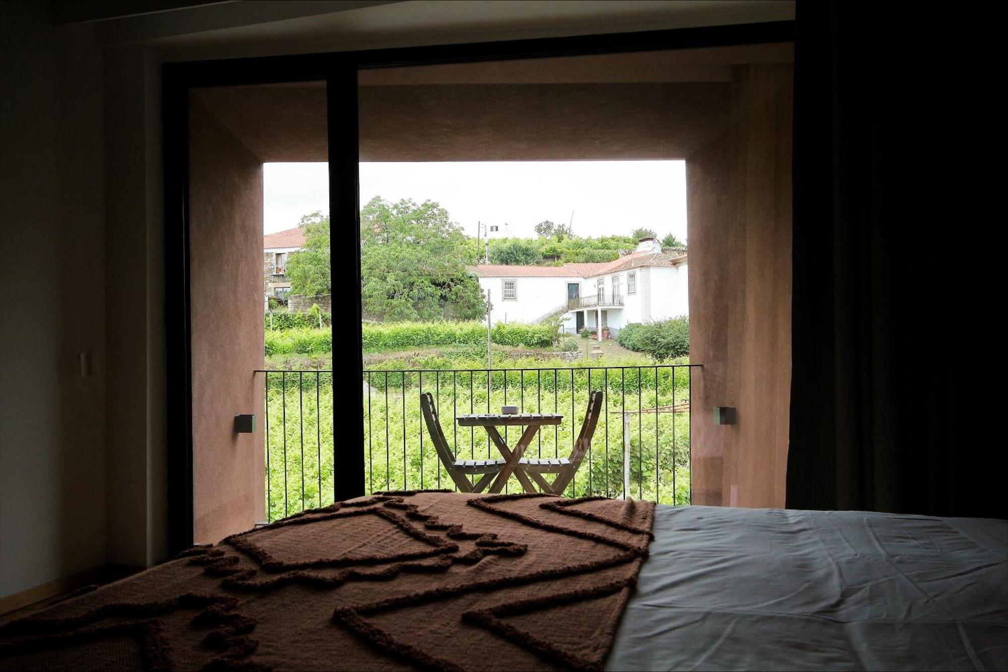 Casa Do Santo - Wine & Tourism Villa Provesende Exterior photo