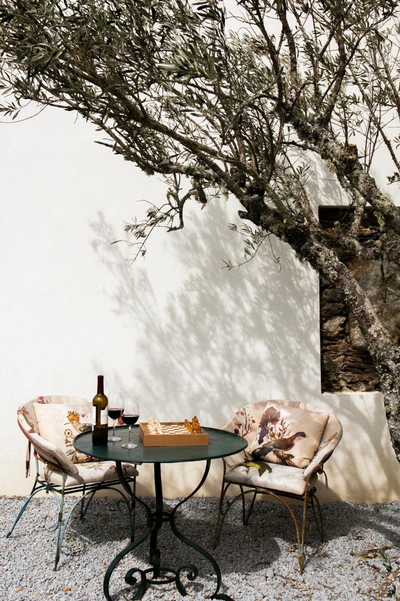 Casa Do Santo - Wine & Tourism Villa Provesende Exterior photo