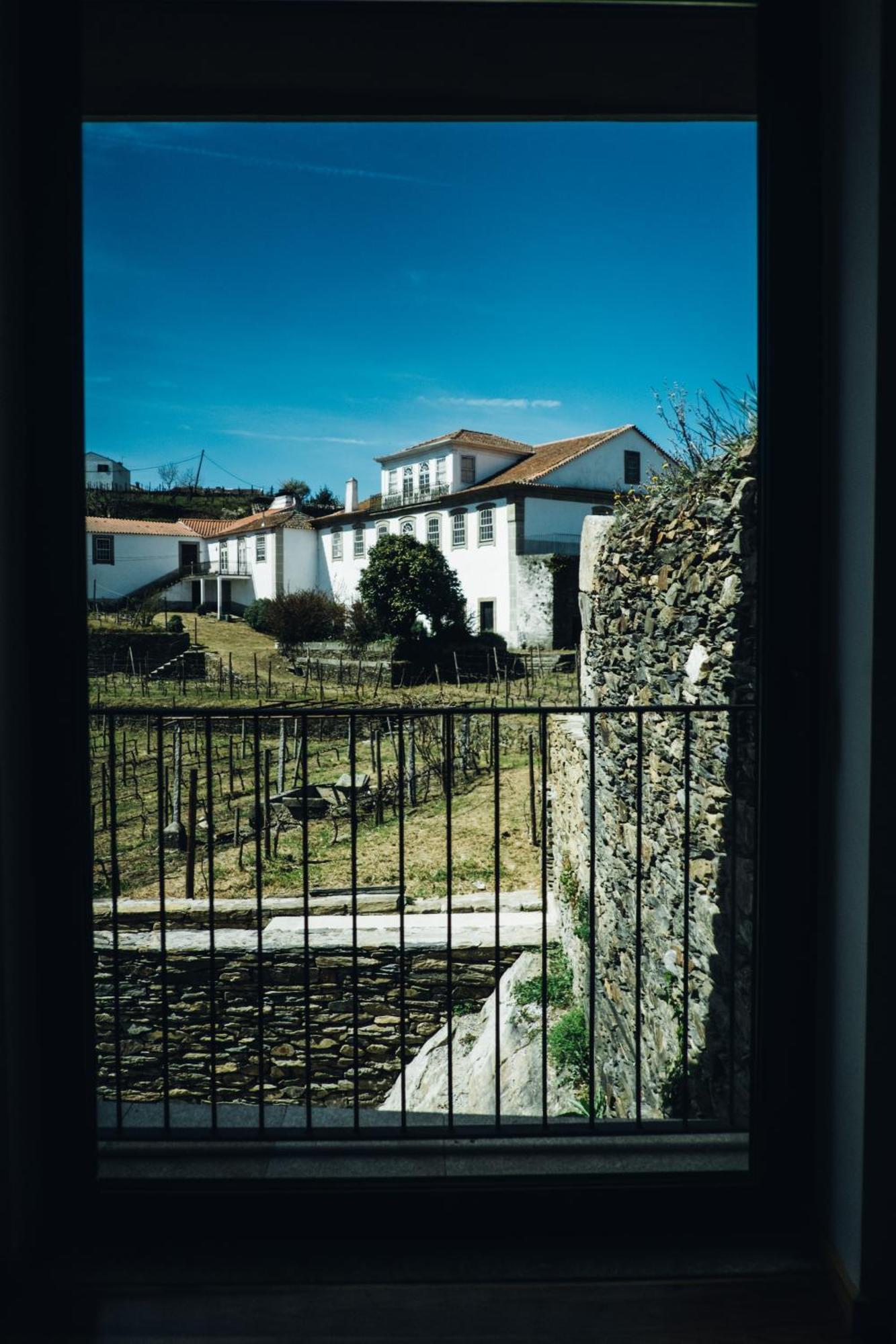 Casa Do Santo - Wine & Tourism Villa Provesende Exterior photo