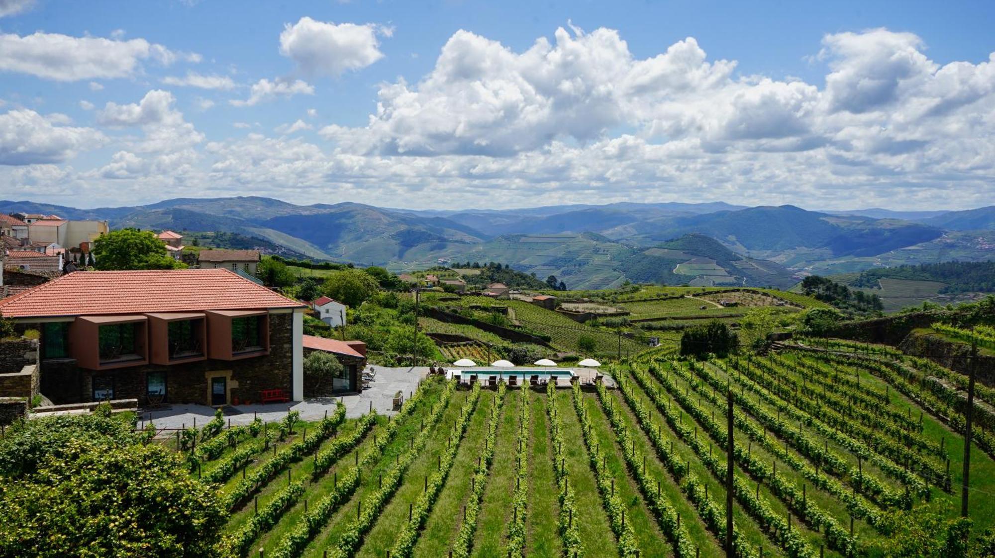 Casa Do Santo - Wine & Tourism Villa Provesende Exterior photo